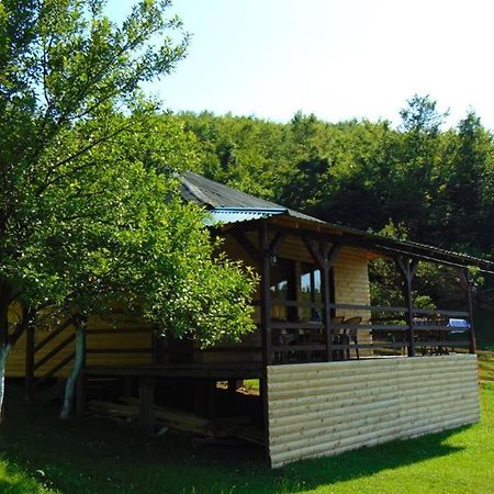 Forest Lodge On The Pyramid Visoko Extérieur photo