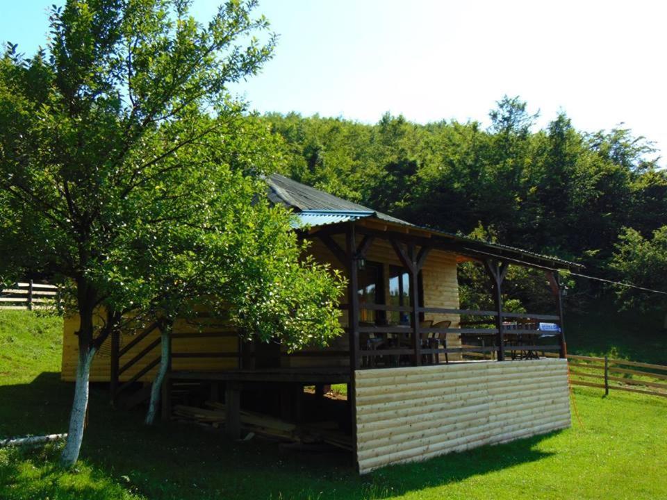 Forest Lodge On The Pyramid Visoko Extérieur photo