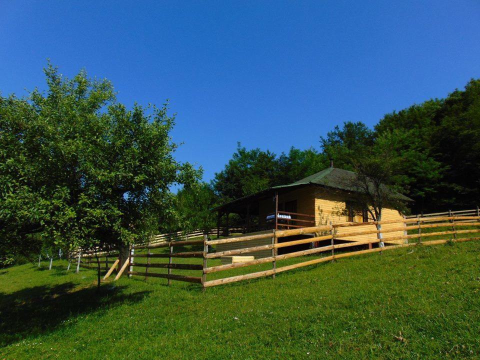 Forest Lodge On The Pyramid Visoko Extérieur photo