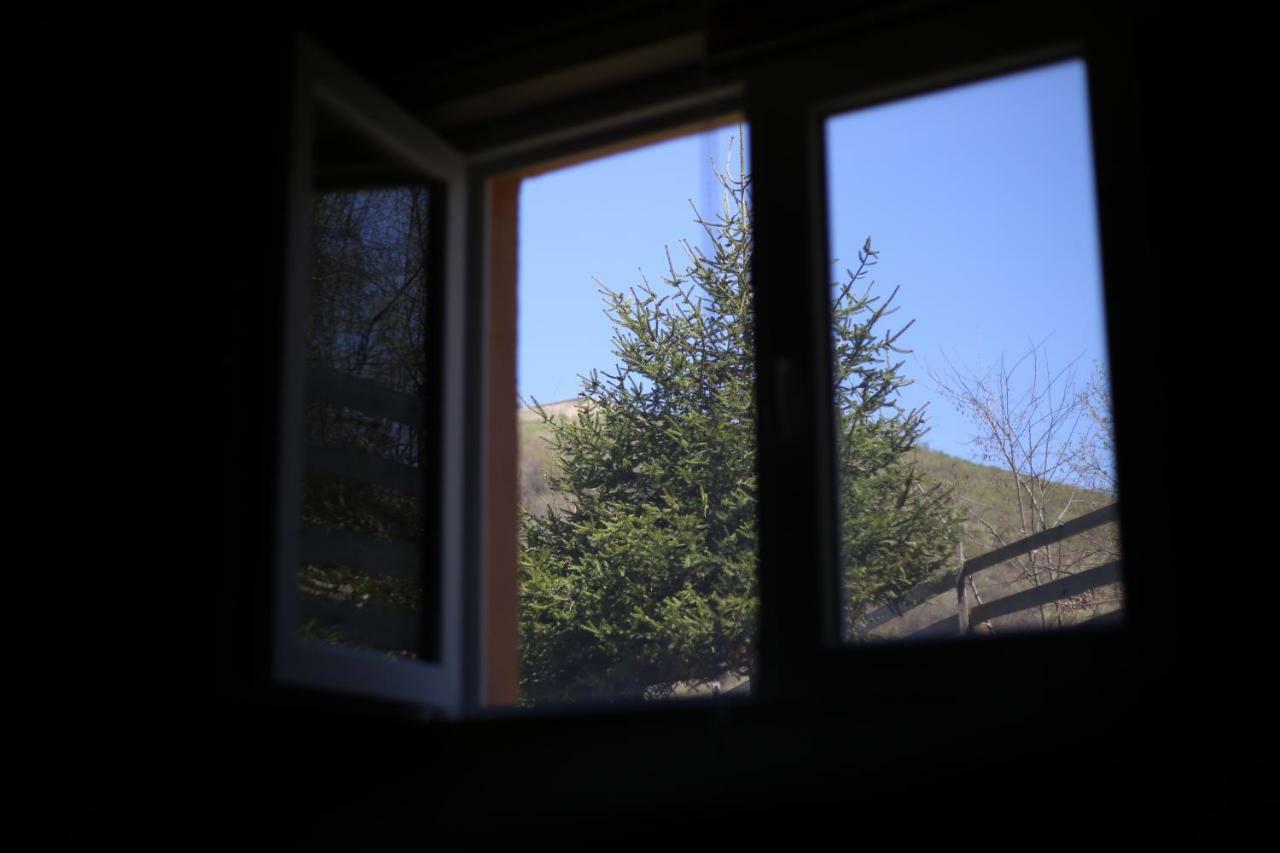 Forest Lodge On The Pyramid Visoko Extérieur photo