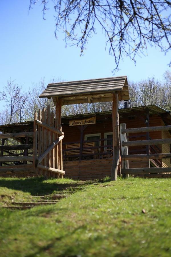 Forest Lodge On The Pyramid Visoko Extérieur photo