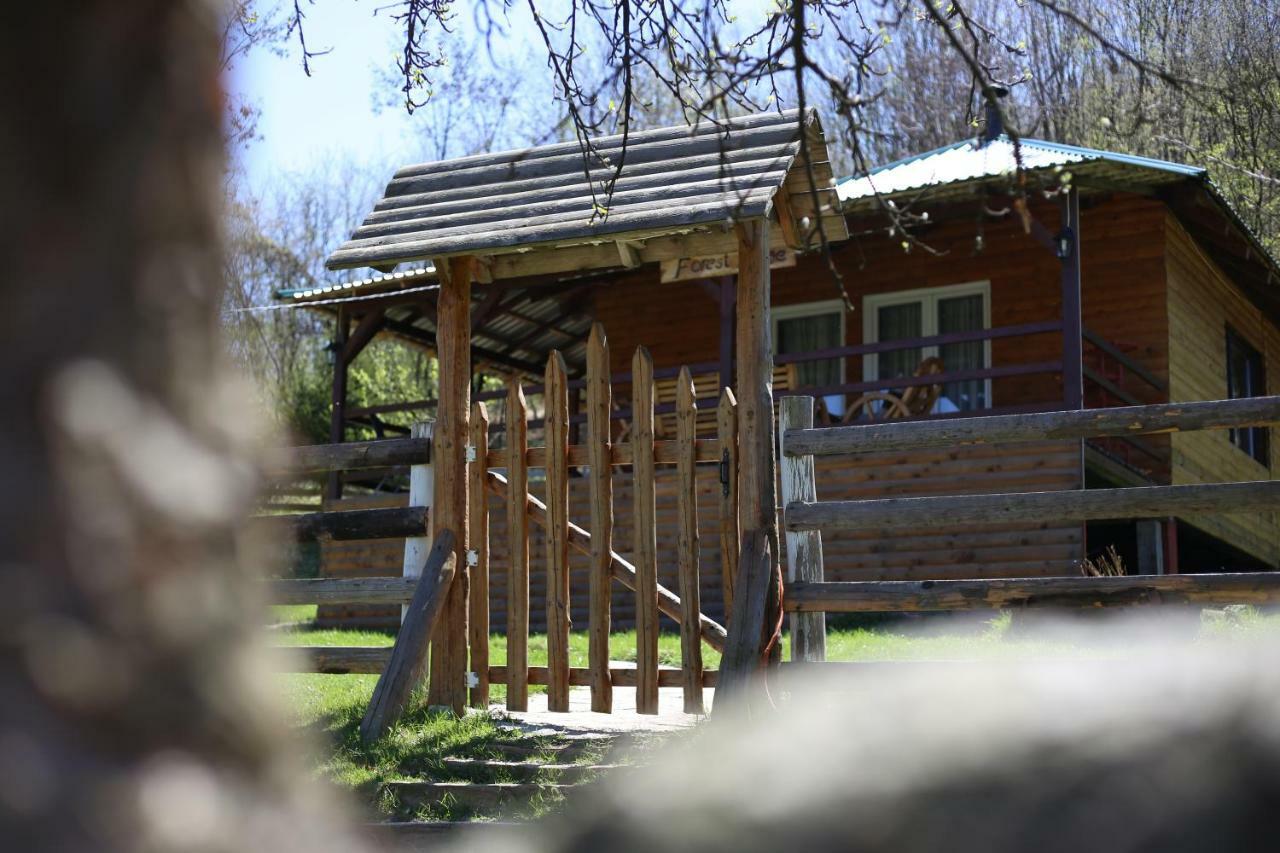 Forest Lodge On The Pyramid Visoko Extérieur photo