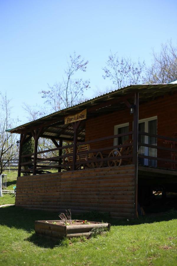 Forest Lodge On The Pyramid Visoko Extérieur photo